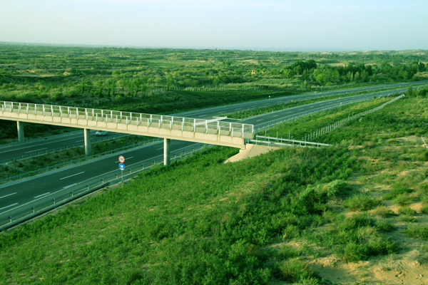 第一条沙漠高速公路