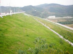 海南省宁远河大隆水利枢纽工程 下游坝坡草皮绿化