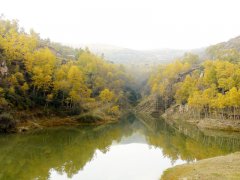 青海省大通县洪水沟小流域一角