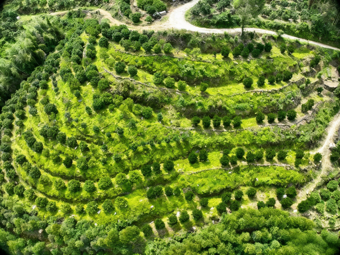 1770789969732014.png 图片1.png