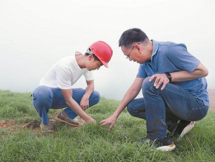 工作人员查看植被生长情况。.JPG