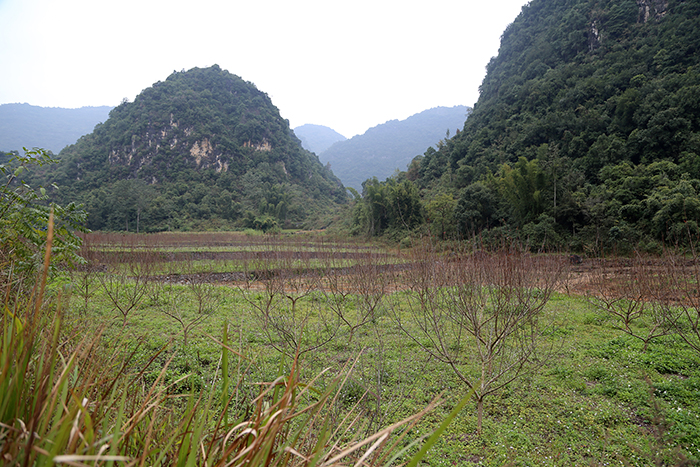 06田阳区新洞村坡耕地水土流失综合治理试点工程1s.jpg