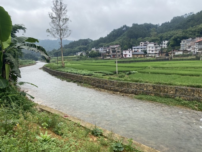 蒙山县黄村镇六埠村六埠江生态清洁型小流域水土保持工程石笼网生态护岸2.jpg